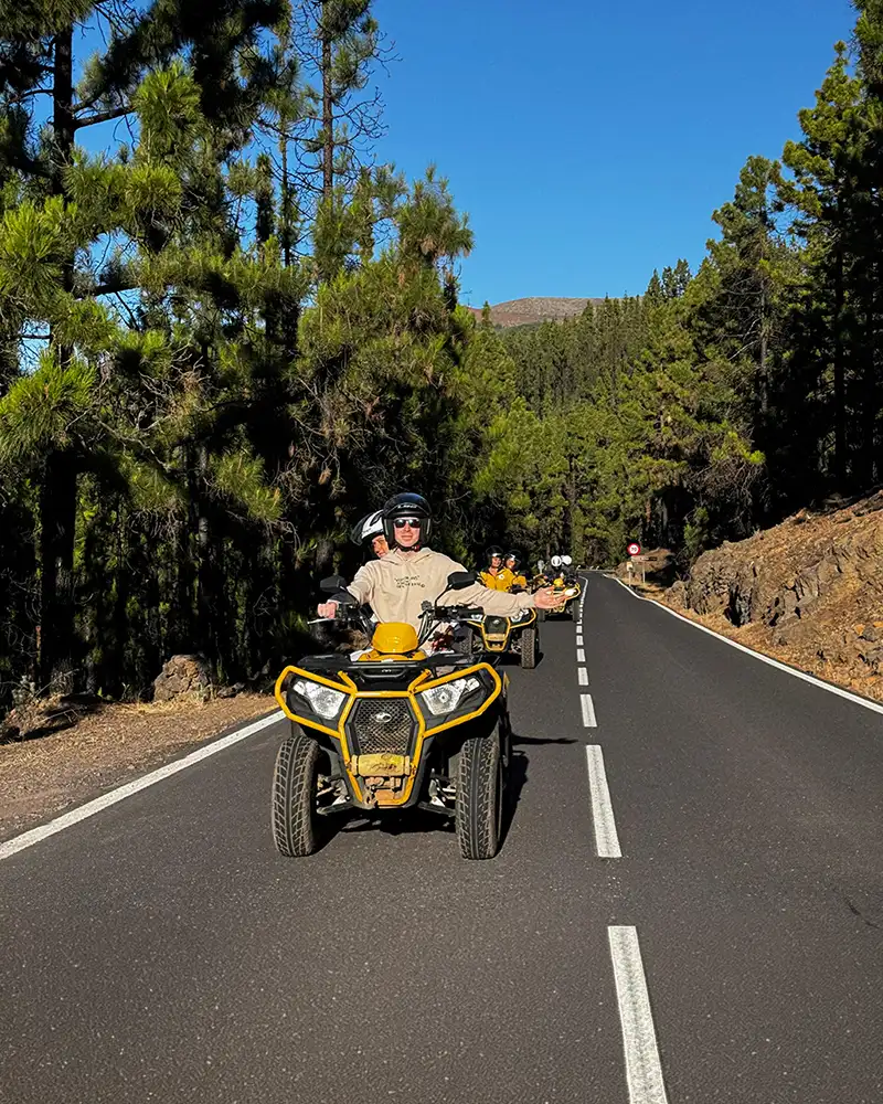 Teide: El Gigante Volcánico - Foto 16