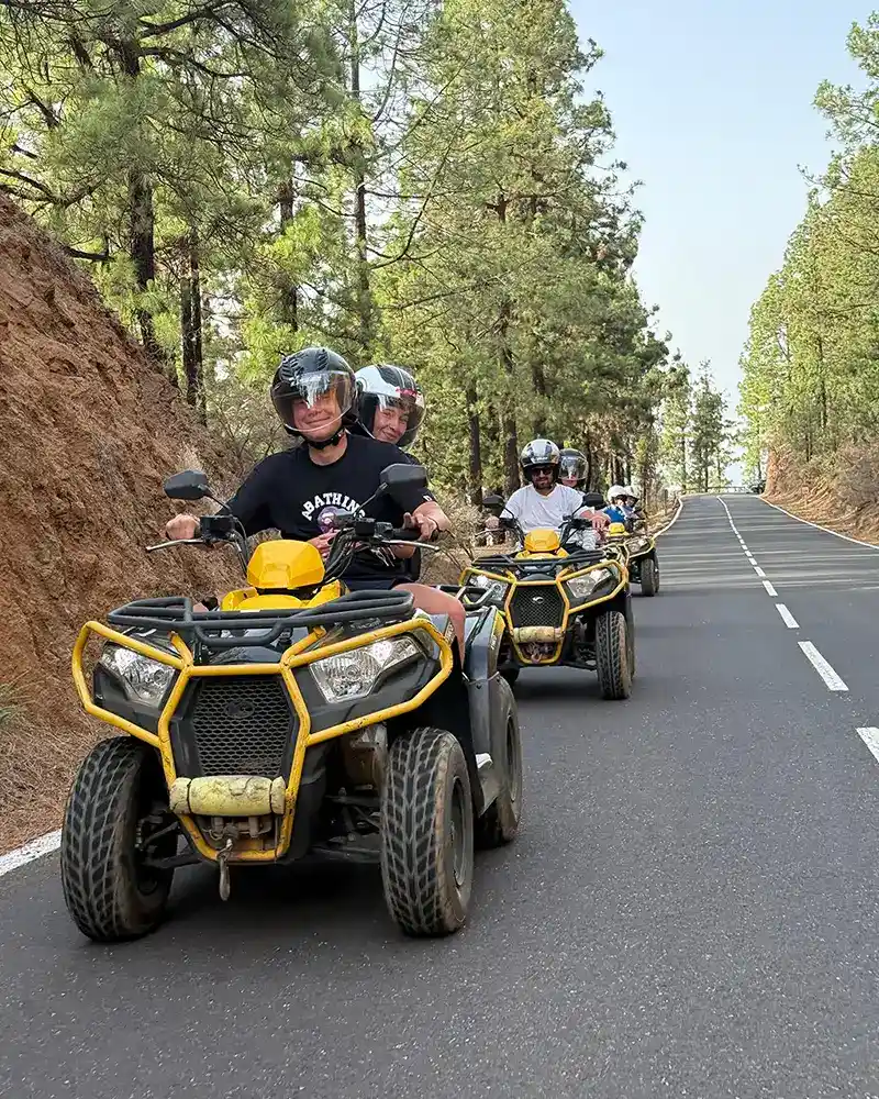 Teide: El Gigante Volcánico - Foto 17