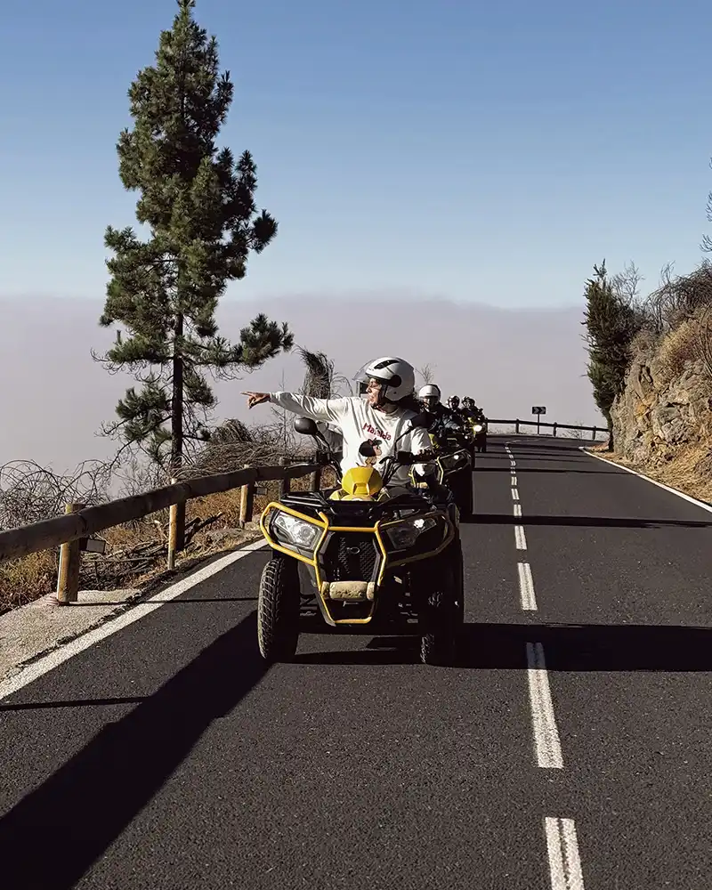 Teide: El Gigante Volcánico - Foto 18