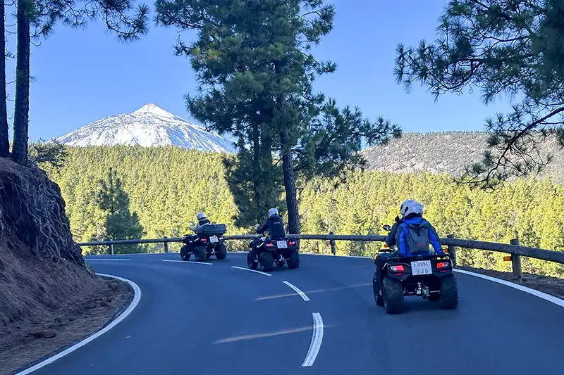 Teide: El Gigante Volcánico - Foto 22