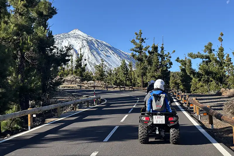 Teide: El Gigante Volcánico - Foto 24
