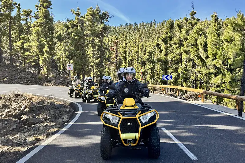 Teide: El Gigante Volcánico - Foto 6