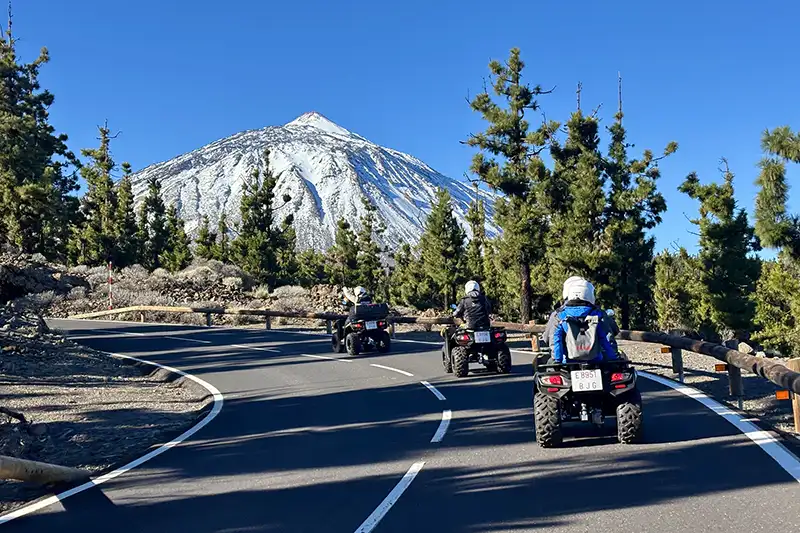 Teide: El Gigante Volcánico - Foto 8